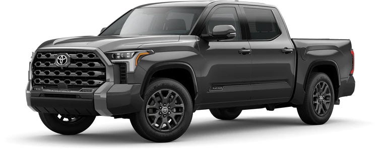 2022 Toyota Tundra Platinum in Magnetic Gray Metallic | Mac Haik Toyota in League City TX