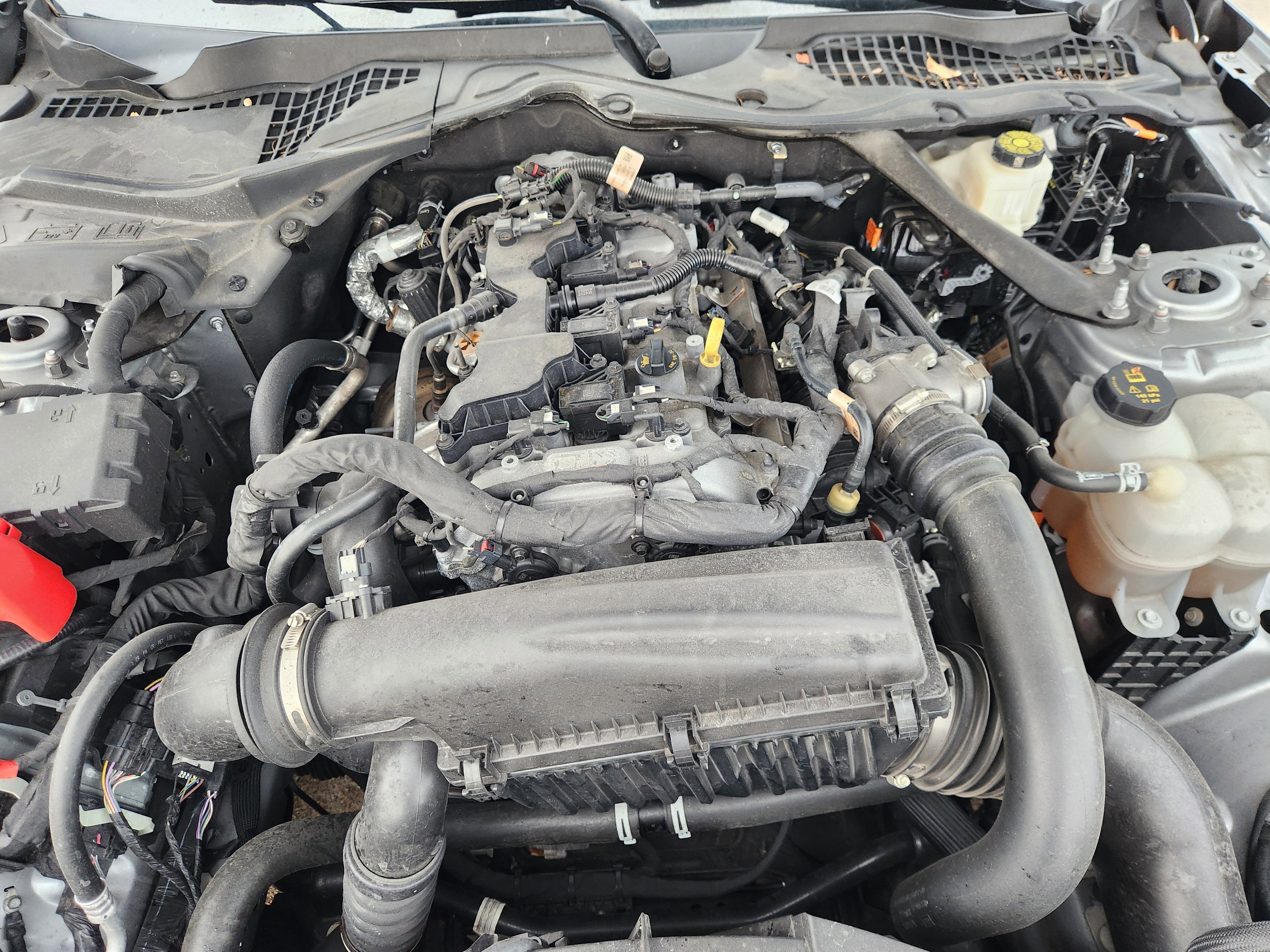 2024 Ford Mustang EcoBoost Premium