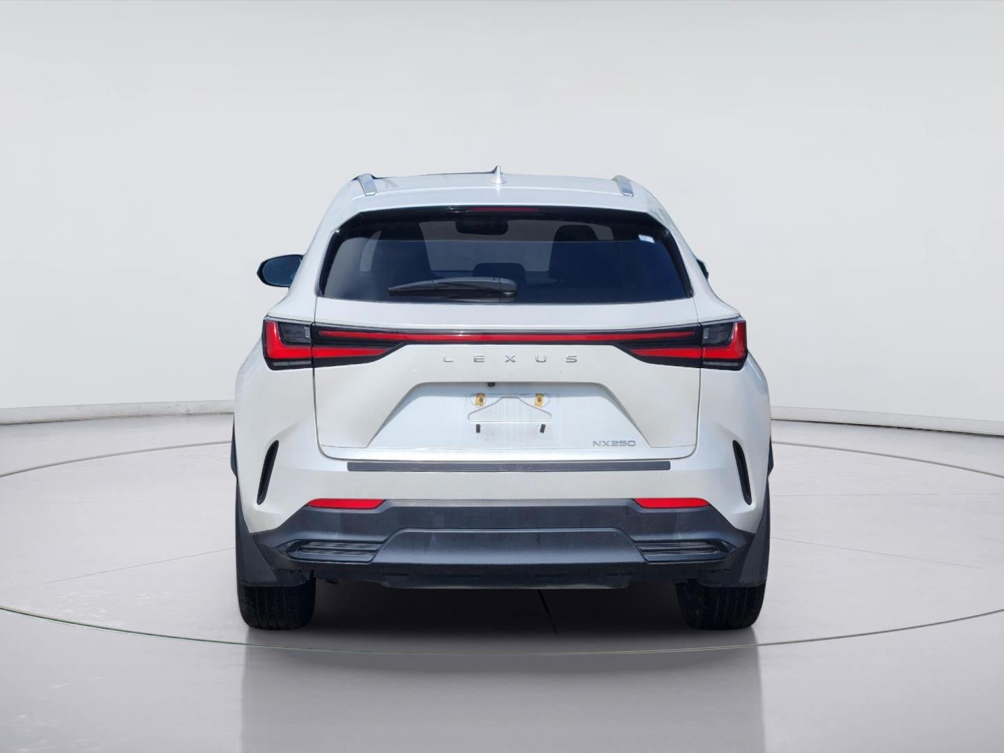 2024 Lexus NX NX 250