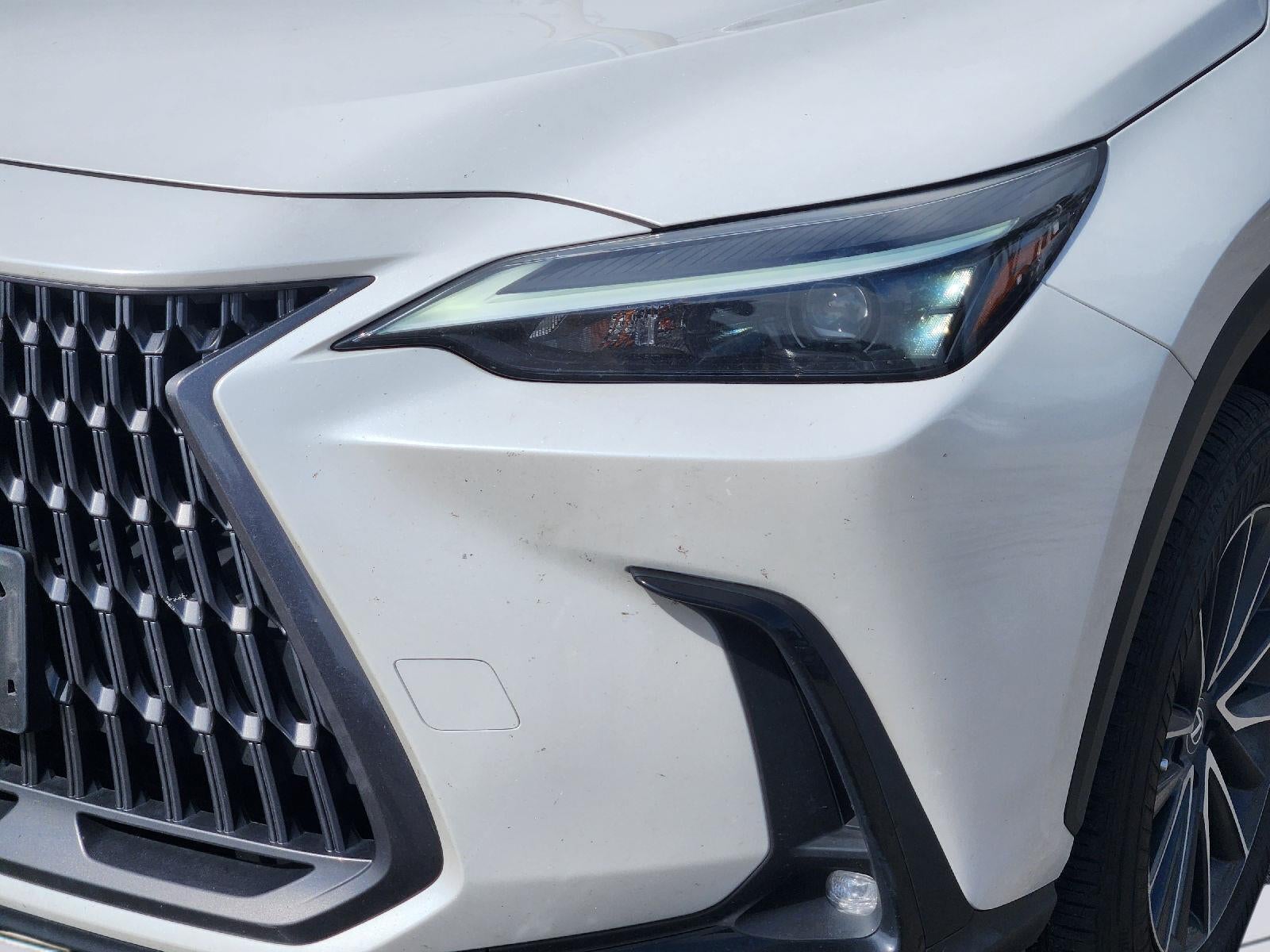 2024 Lexus NX NX 250