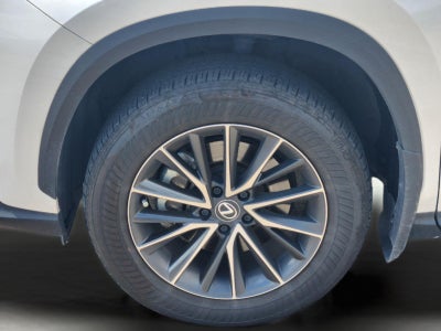 2024 Lexus NX NX 250