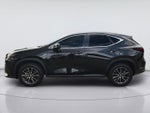 2025 Lexus Nx Coupe PREM