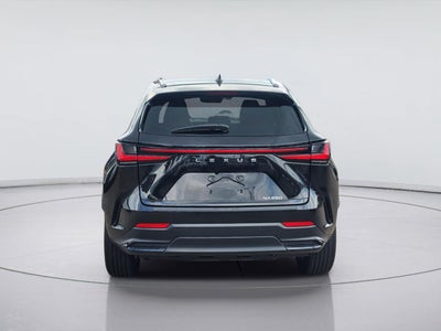 2025 Lexus Nx Coupe PREM