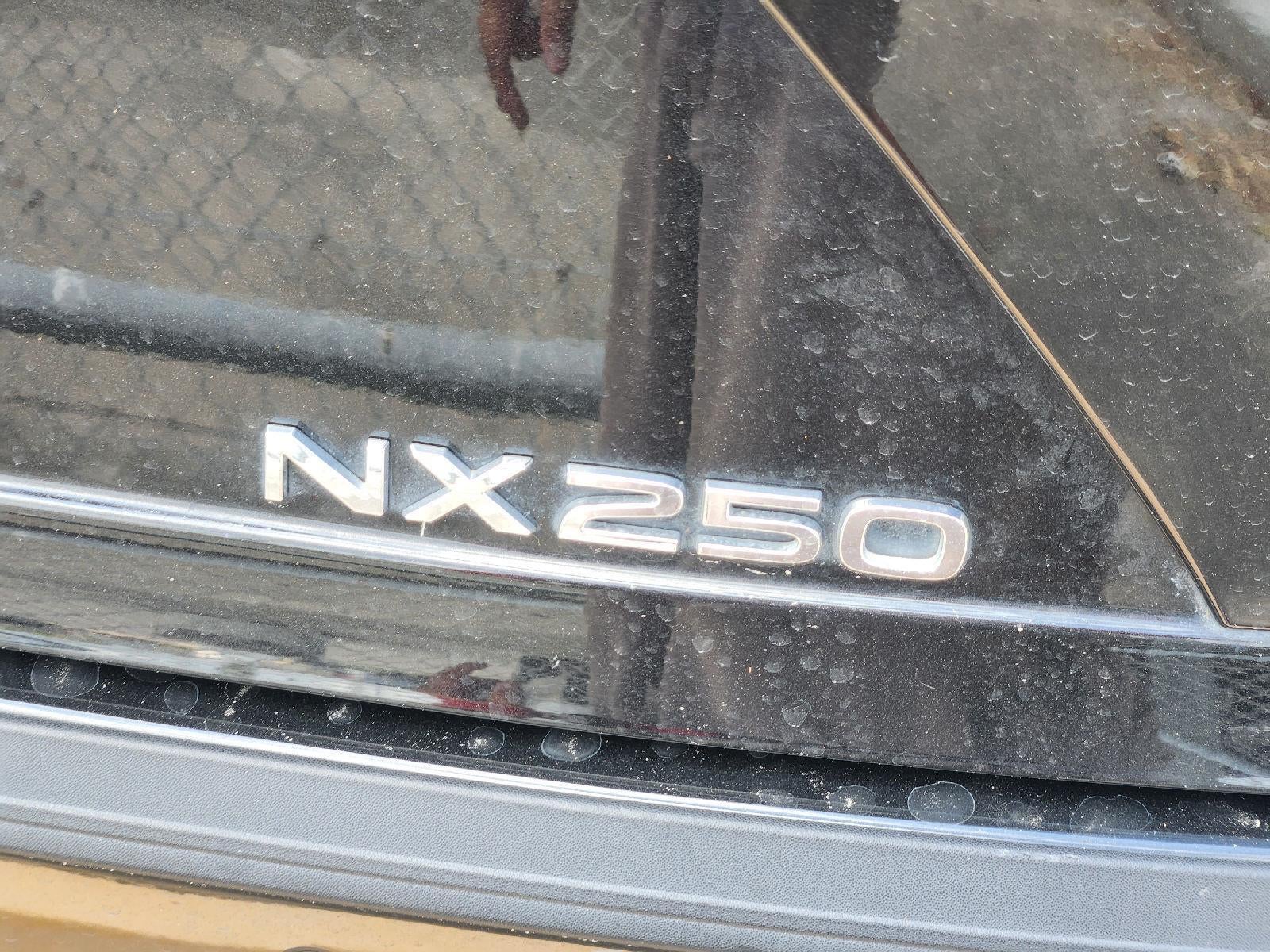 2025 Lexus Nx Coupe PREM