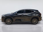 2023 Lexus Nx NX 350 Premium
