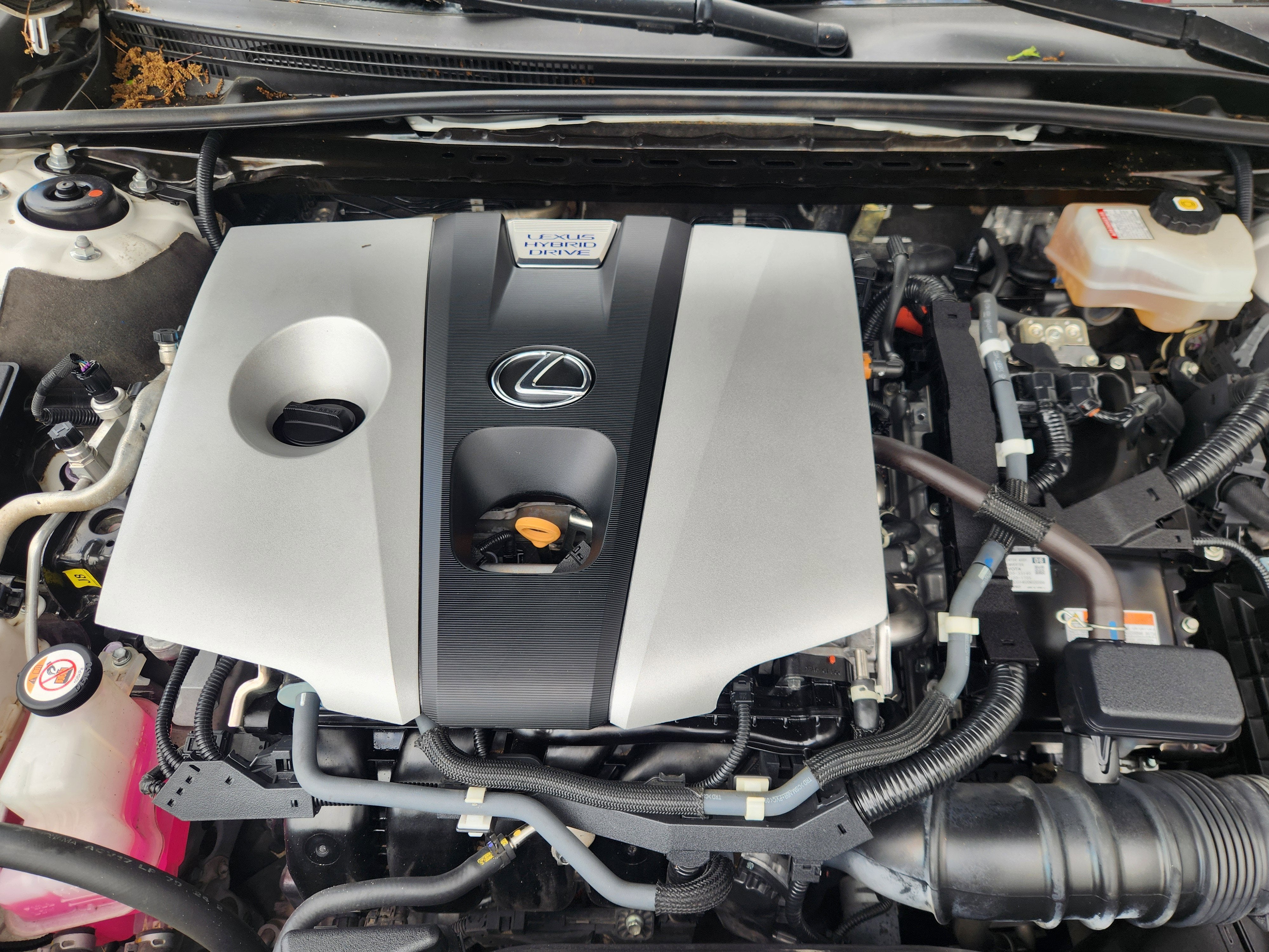 2021 Lexus ES 300h
