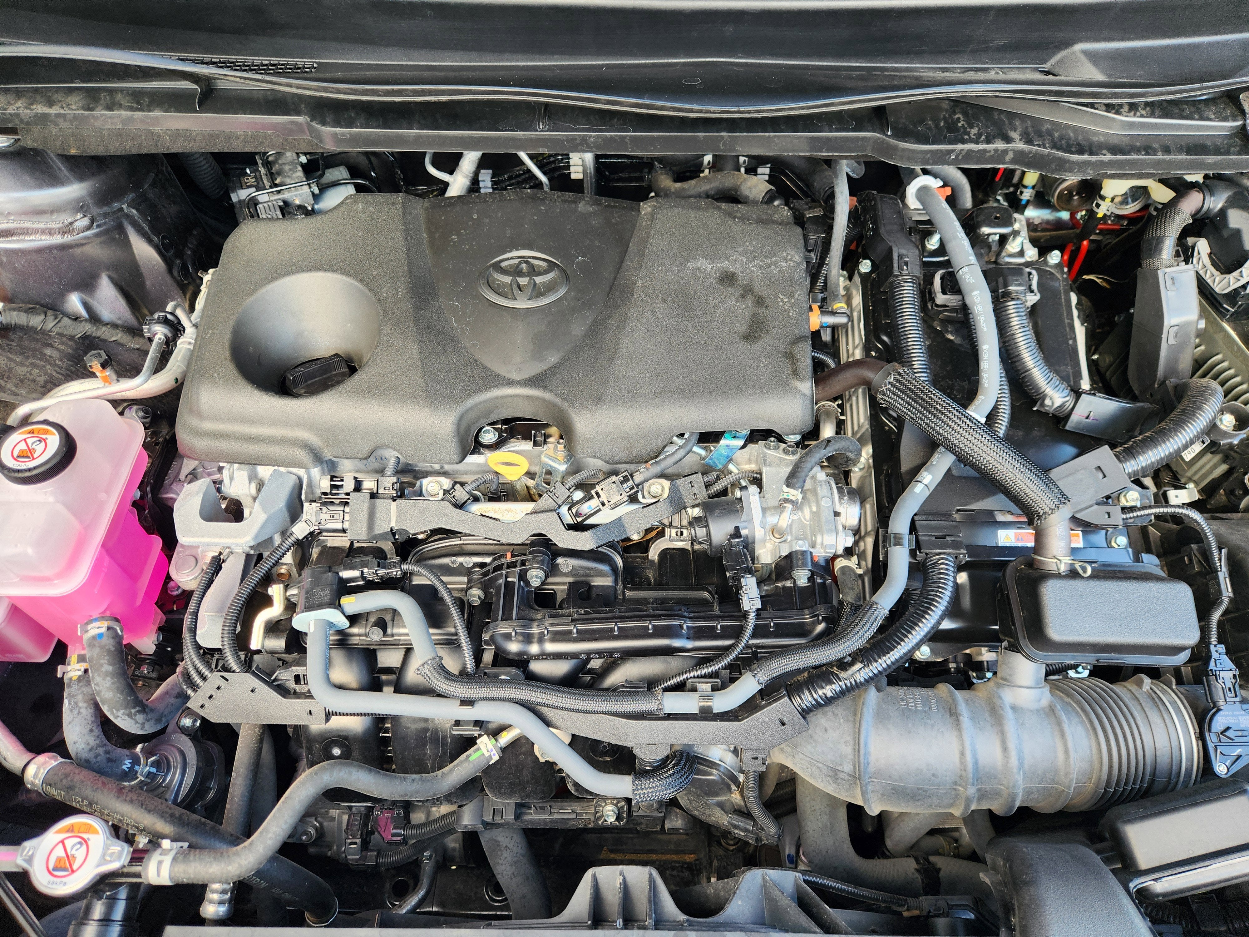 2025 Toyota Sienna Limited 7 Passenger