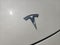 2023 Tesla 3 Base