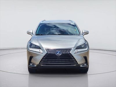 2019 Lexus NX300H 
