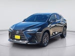 2024 Lexus NX NX 350 Premium