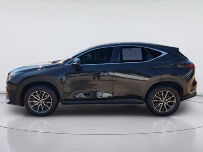2024 Lexus NX NX 350 Premium