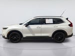 2025 Hyundai Palisade SEL Premium 8P