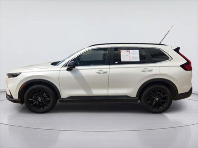 2025 Hyundai Palisade SEL Premium 8P