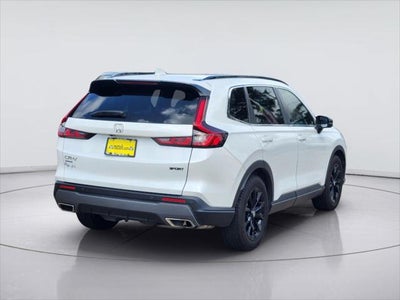 2025 Hyundai Palisade SEL Premium 8P