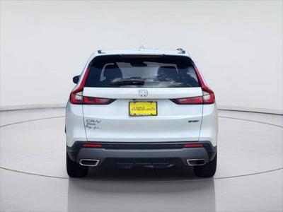 2025 Hyundai Palisade SEL Premium 8P