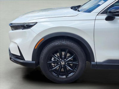 2025 Hyundai Palisade SEL Premium 8P