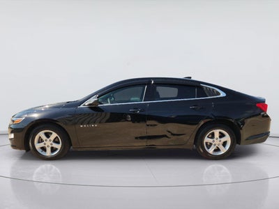 2023 Chevrolet Malibu LS