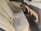 2010 Lexus Is 250 4dr Sport Sdn Auto AWD