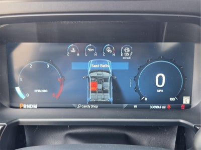 2024 Ford Super Duty F-250 Platinum