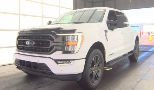 2023 Ford F150 XL