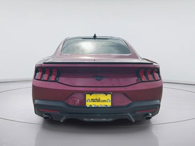 2025 Ford Mustang EcoBoost