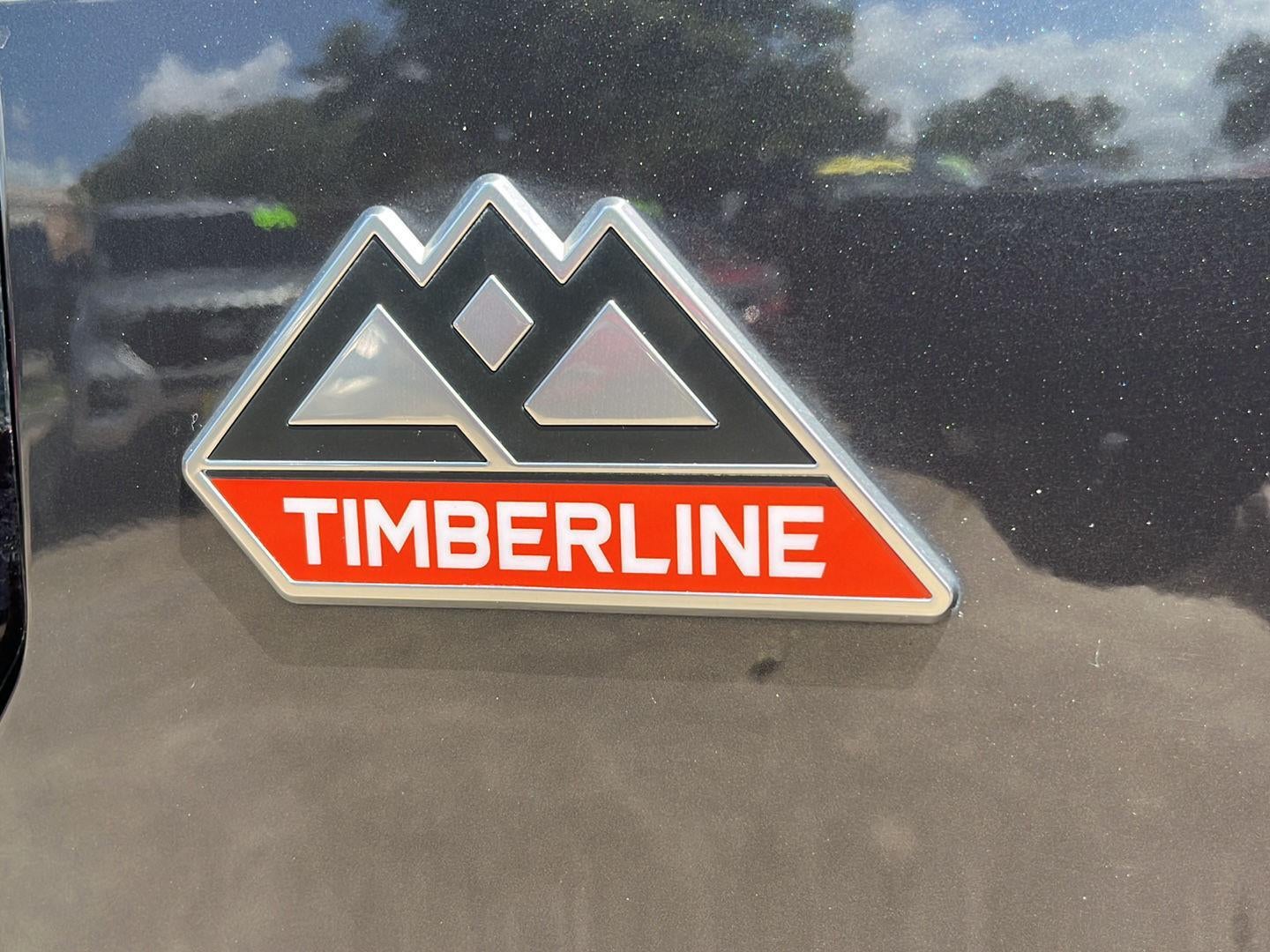 2022 Ford Expedition Timberline