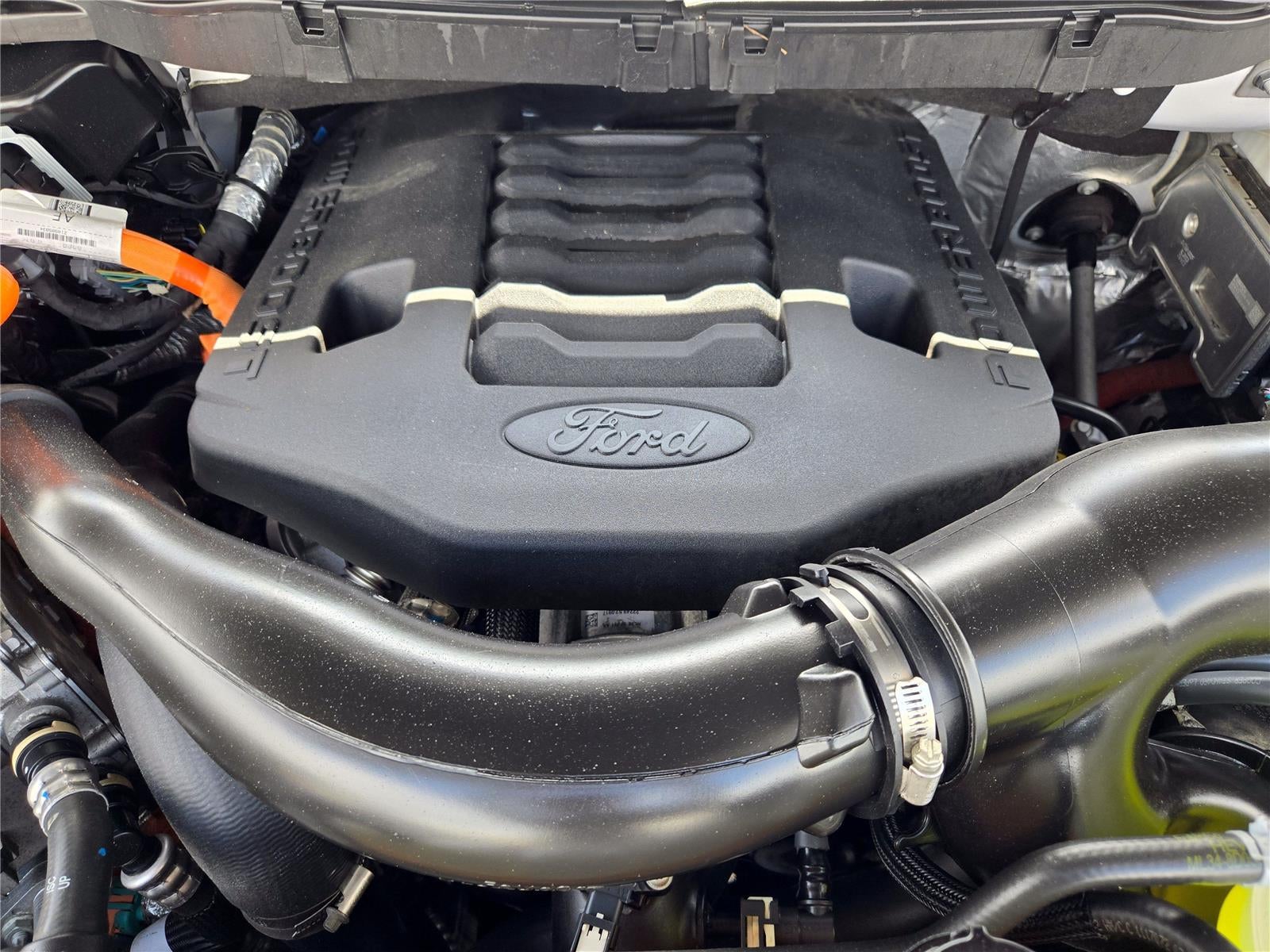 2023 Ford F150 XLT