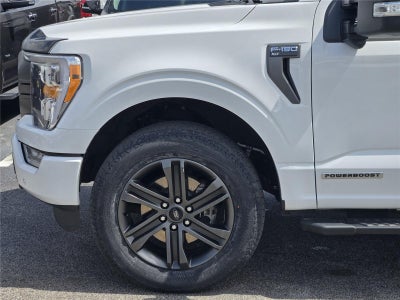 2023 Ford F150 XLT