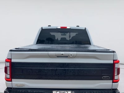 2023 Ford F150 Platinum