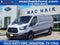 2019 Ford Transit Van T250