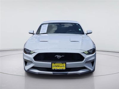 2019 Ford Mustang EcoBoost
