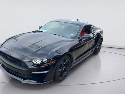 2022 Ford Mustang EcoBoost
