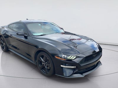 2022 Ford Mustang EcoBoost