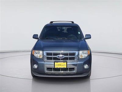 2011 Ford Escape Limited