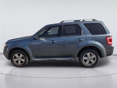 2011 Ford Escape Limited