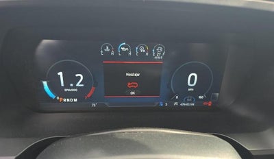 2023 Ford EXPEDITION PLATIN