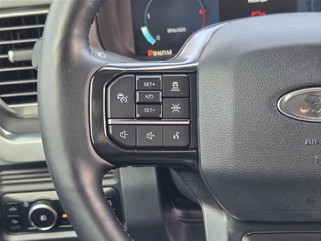 2025 Ford Super Duty F-250 Platinum