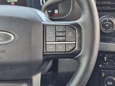 2025 Ford Super Duty F-250 Platinum