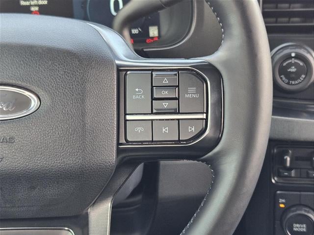 2025 Ford Super Duty F-250 Platinum