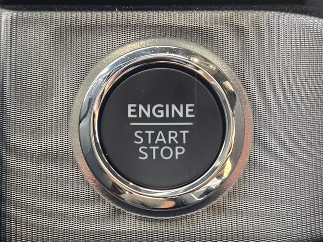 2024 Ford Super Duty F-250 Platinum