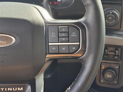 2024 Ford Super Duty F-250 Platinum