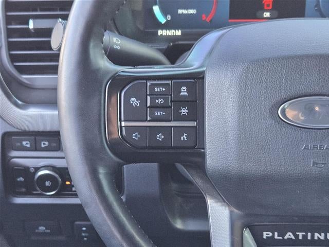 2024 Ford Super Duty F-250 Platinum