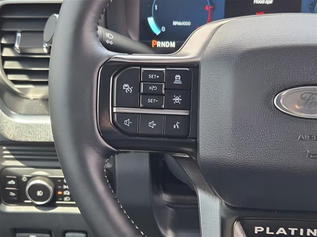 2025 Ford Super Duty F-250 Srw Platinum
