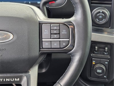 2025 Ford Super Duty F-350 DRW Platinum