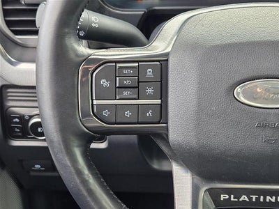 2025 Ford Super Duty F-350 DRW Platinum