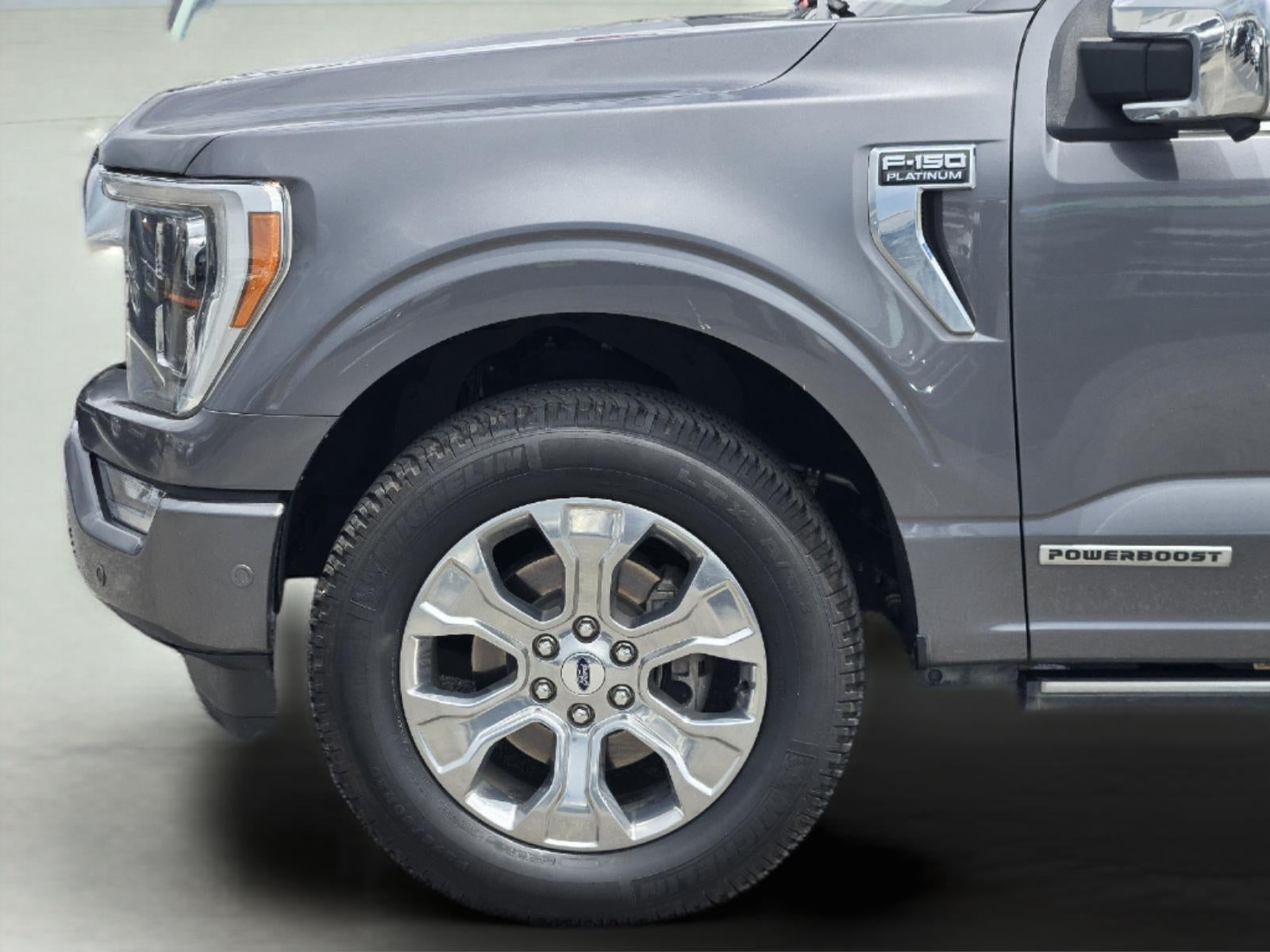 2021 Ford F-150 Platinum