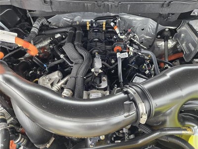 2024 Ford F150 LARI