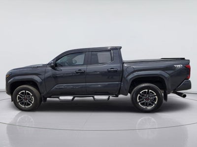 2025 Toyota Tacoma TRD Sport HV