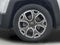 2016 Jeep Renegade Limited
