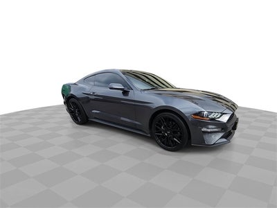 2019 Ford Mustang EcoBoost